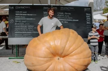 Feito Gigante: Suíço Cultiva Abóbora Monstruosa de Quase 700 Kg e Vence Concurso Nacional!